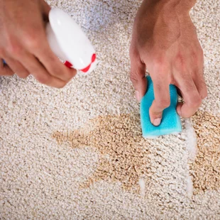 Tipp Teppich reinigen - Reinigung Fleck auf Teppich